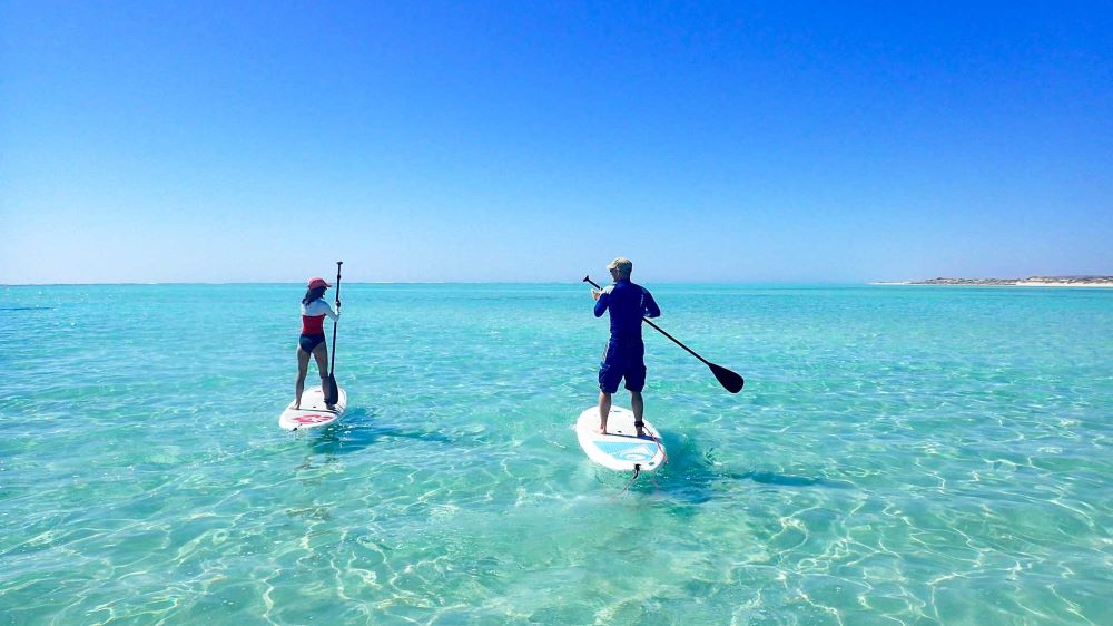 The 5 best Kayaking and Paddle Boarding locations in WA