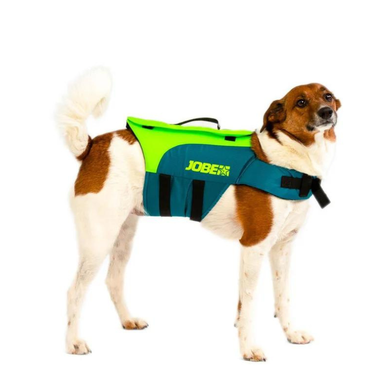 Pet Life Jacket