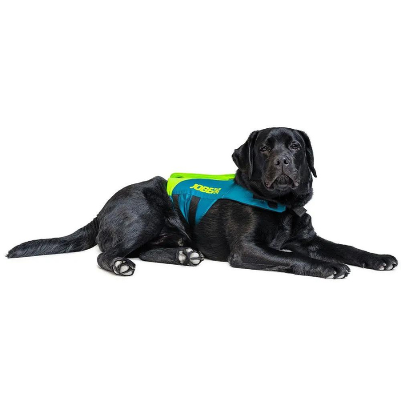 jobe-dog-life-jacket-lime-teal-black-dog-wearing-life-jacket-2