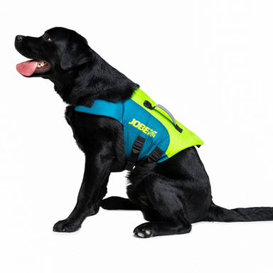 jobe-dog-life-jacket-lime-teal-black-dog-wearing-life-jacket