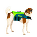 jobe-dog-life-jacket-lime-teal-dog-wearing-jacket-1