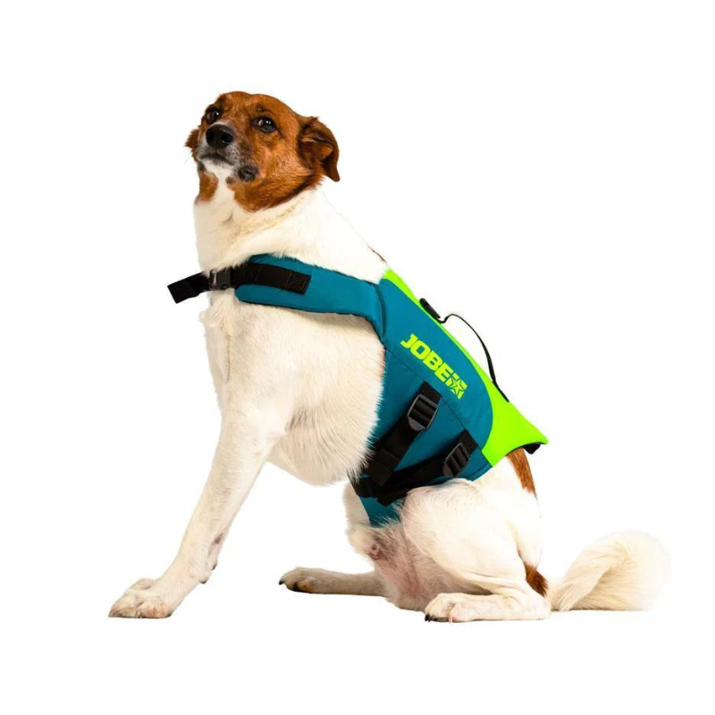 jobe-dog-life-jacket-lime-teal-dog-wearing-jacket-2